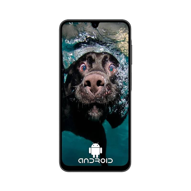 CELULAR SAMSUNG GALAXY SM-A266MZK OC 8GB 256GB 5G 6.7INCH 4CAM. USD USB-C AN-15 BLACK - Imagen 1